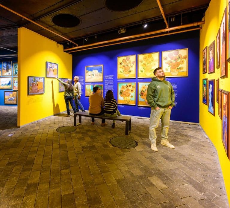Visiodrom in Wuppertal: De meeslepende 360°-show van Van Gogh
