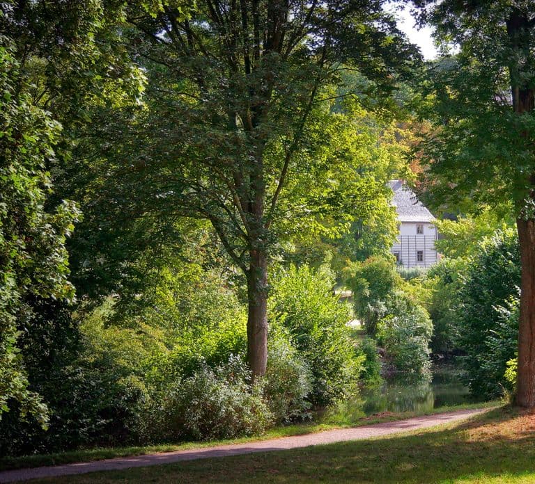 Weimar : visite de la vieille ville de Weimar classique