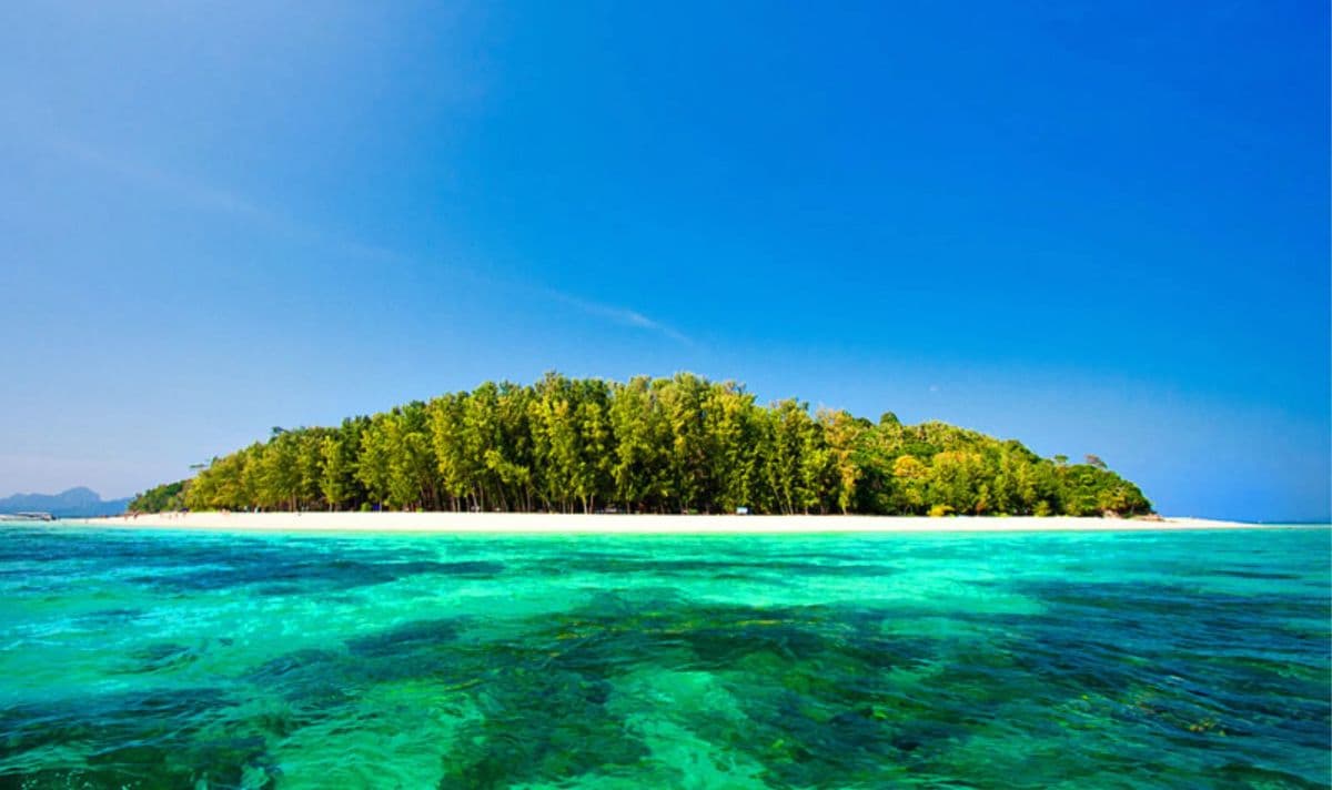 One Way Big Boat Transfer from / to Phuket - Phi Phi
