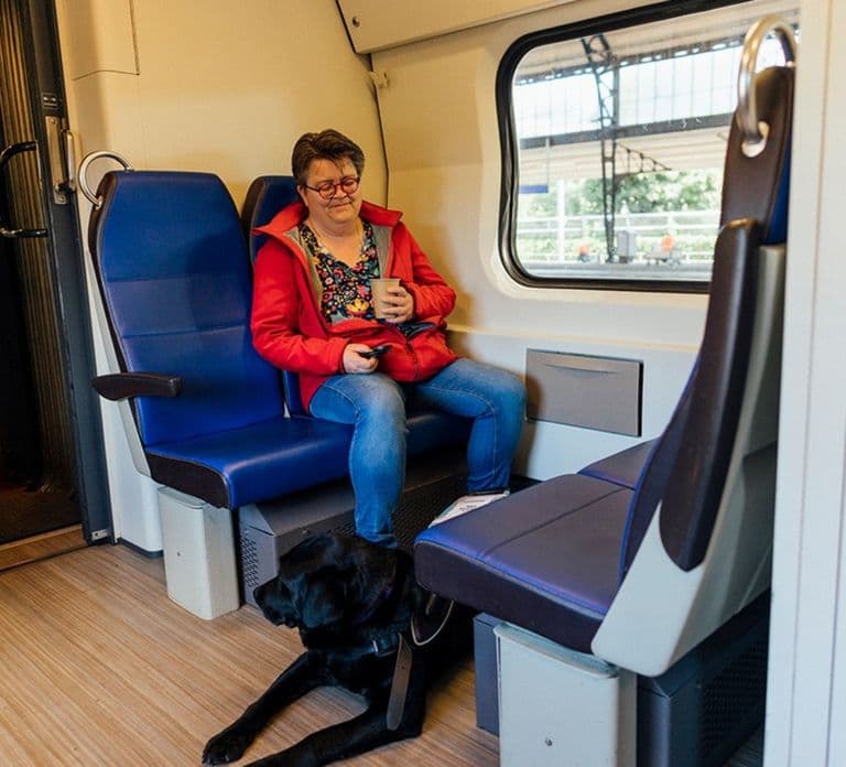 Amsterdam/Rotterdam: One-Way Train Ticket