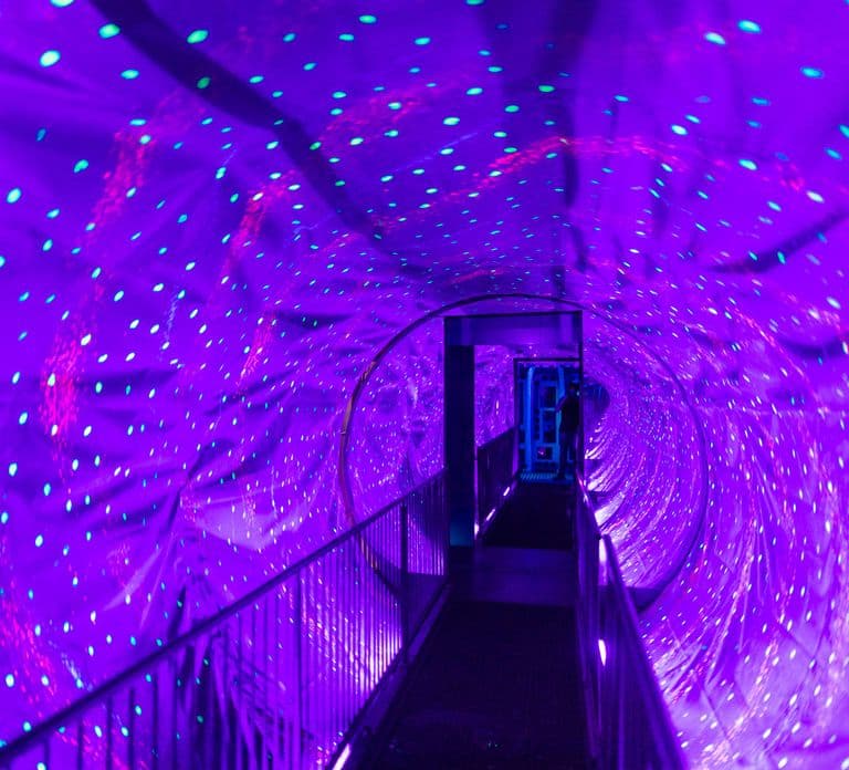 Amsterdam 1-Hour Canal Cruise and Ripley’s Believe it or Not