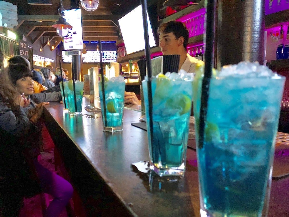 1 Day Hop-on Hop-Off Sightseeing Bus with Amsterdam Ice Bar