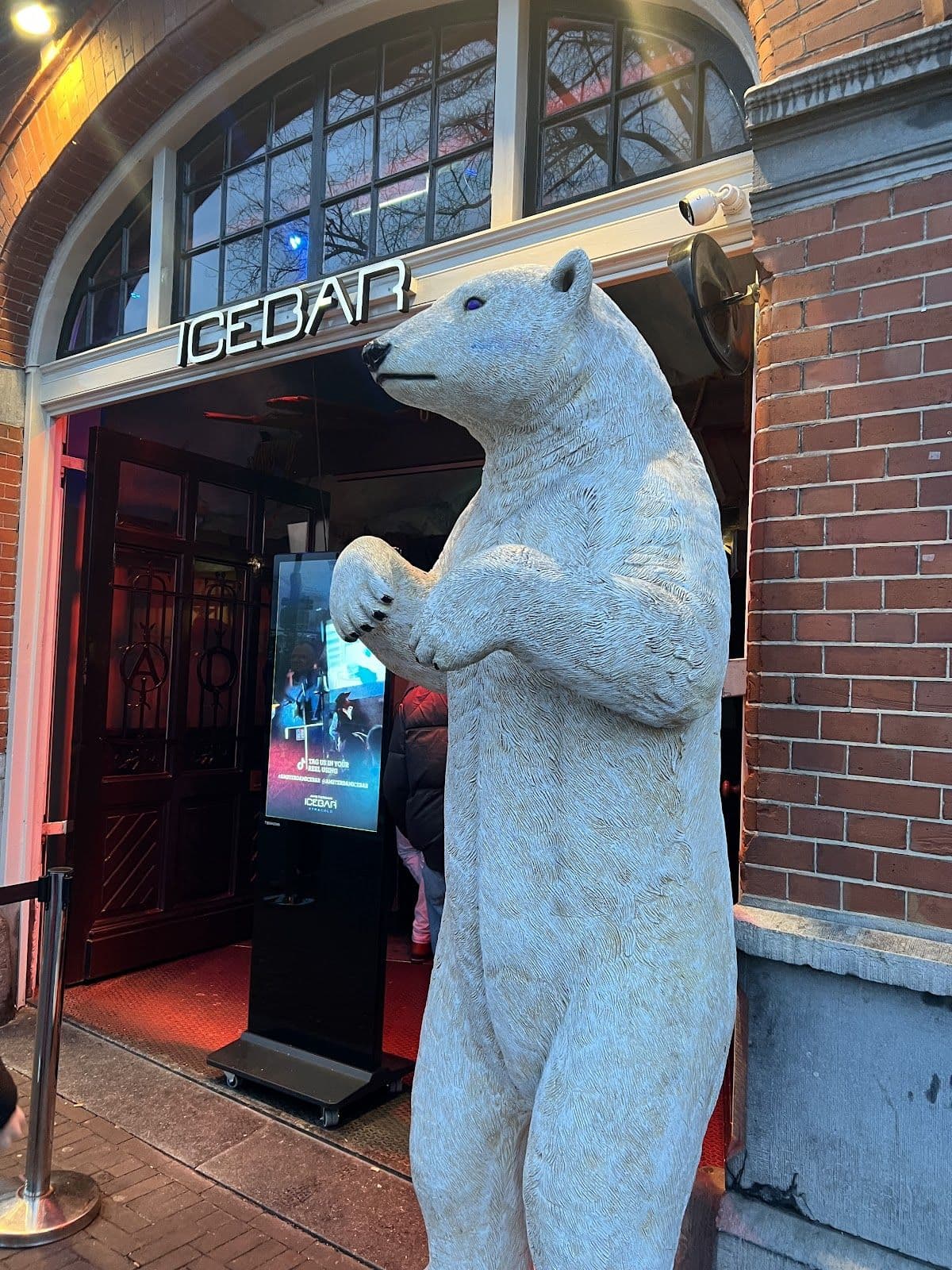 1 Day Hop-on Hop-Off Sightseeing Bus with Amsterdam Ice Bar