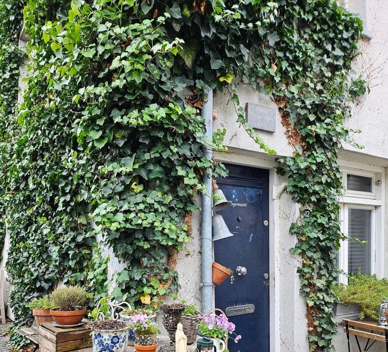 2H Walking Tour Maastricht