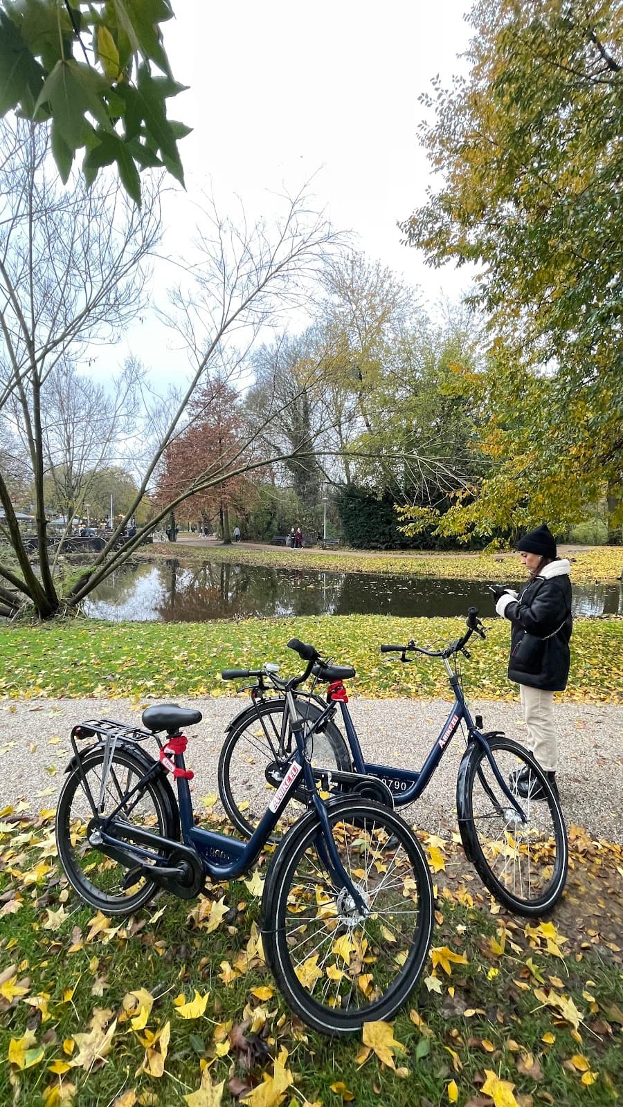 48-hour bike rental in Amsterdam with city map