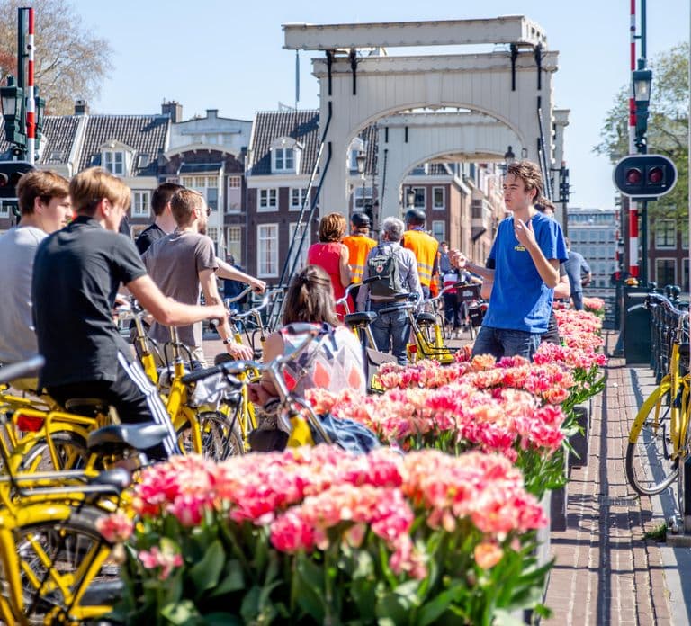 Amsterdam: Tour guidato in bicicletta di 2 ore tra le attrazioni della città