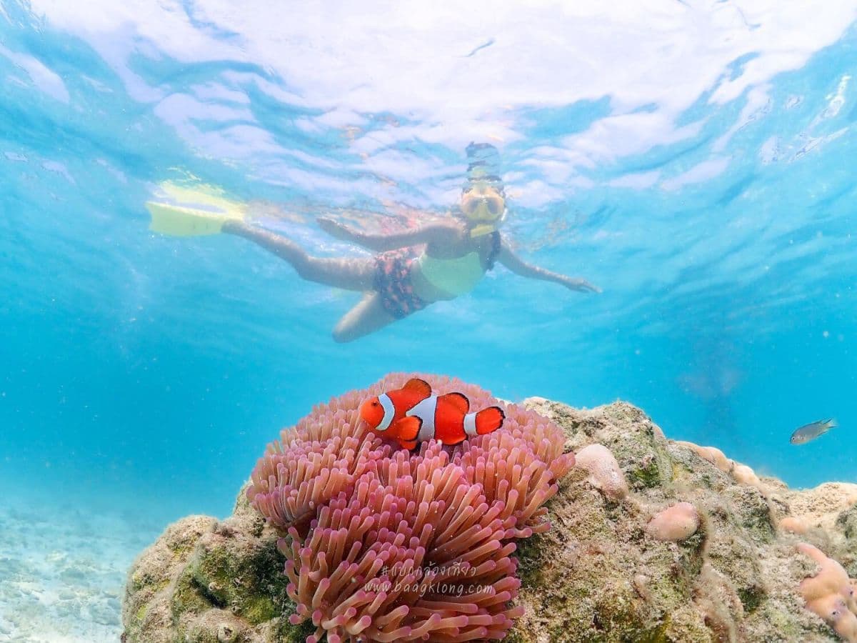 Wycieczka na wyspę Pattaya: European Beach Experience (Koh Larn)