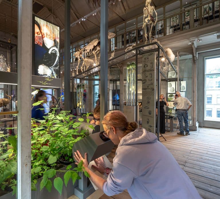 Amsterdam: ARTIS-Groote Museum 입장권
