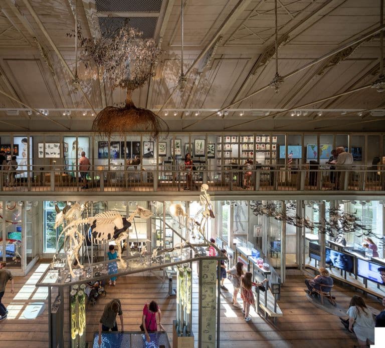 Amsterdam: ARTIS-Groote Museum 입장권