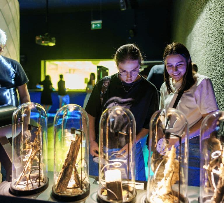 Amsterdam: ARTIS-Micropia Microbe Museum Entry Ticket