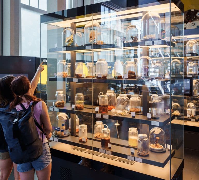 Amsterdam: ARTIS-Micropia Microbe Museum Entry Ticket