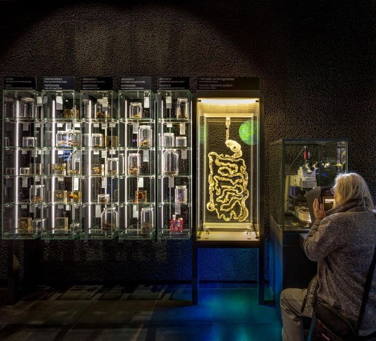 Ámsterdam: Entrada al museo de microbios ARTIS-Micropia