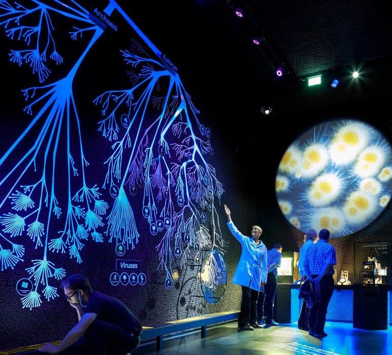 Amsterdam: Bilet wstępu do muzeum mikrobów ARTIS-Micropia