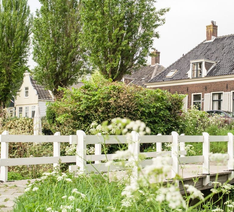 Amsterdam: Bike Tour (Noord) in German or English