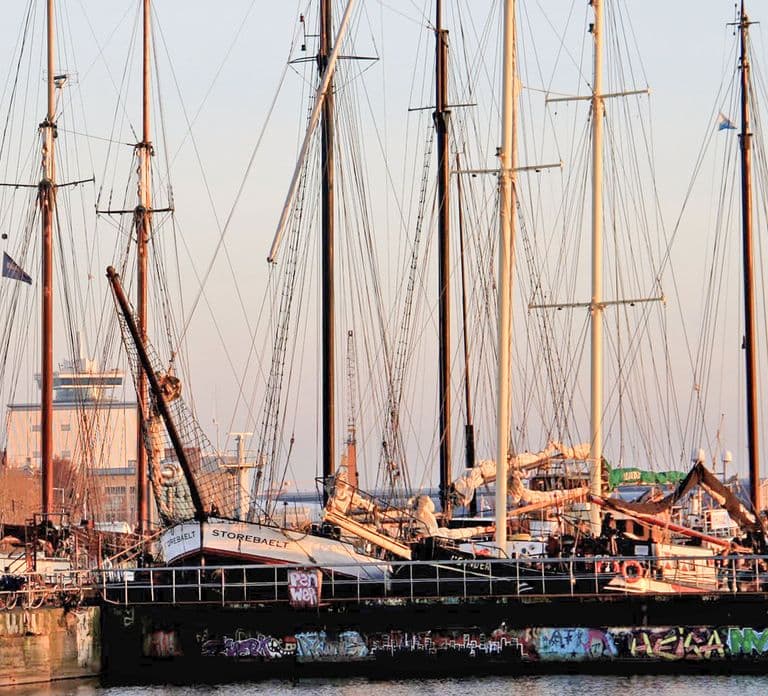 Amsterdam: Bike Tour (Noord) in German or English