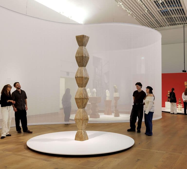 Ámsterdam: Entrada para Brancusi en el H'ART Museum