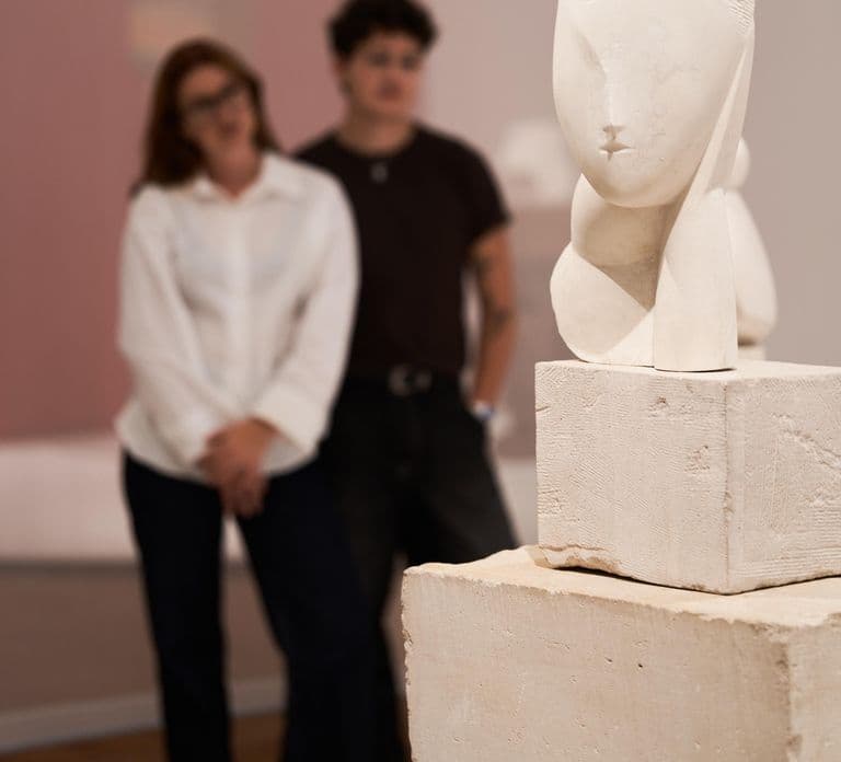 Ámsterdam: Entrada para Brancusi en el H'ART Museum