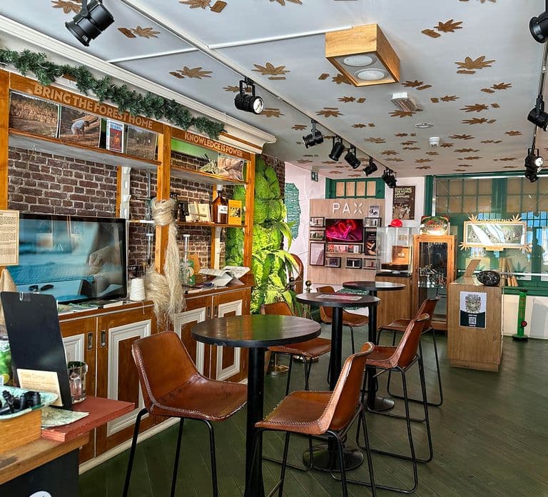 Amsterdam: Eintrittskarte für das Cannabis Museum
