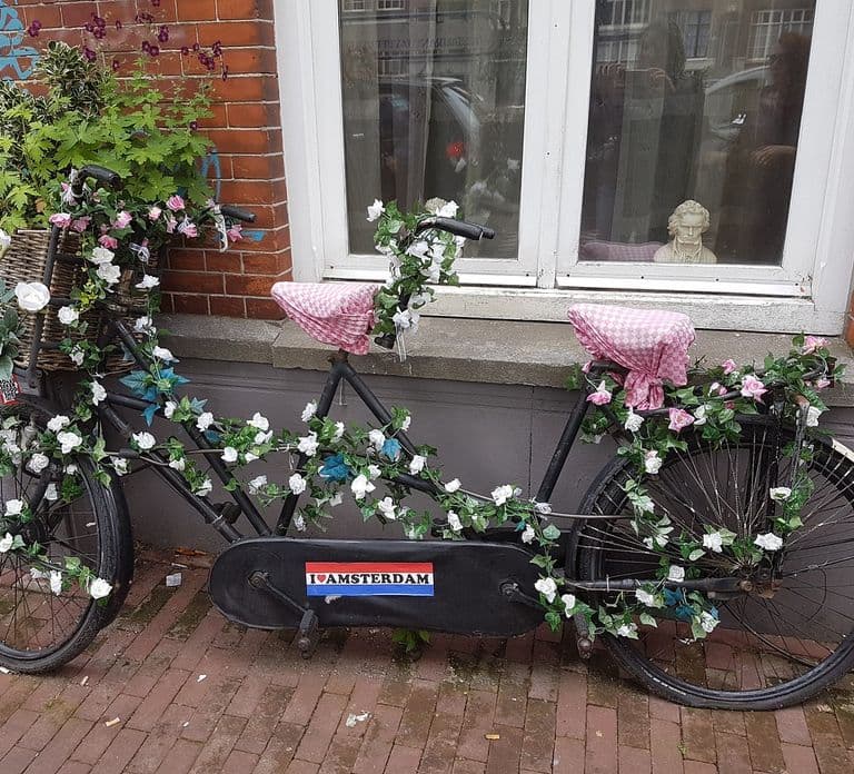 Amsterdam: City Highlights Bike tour