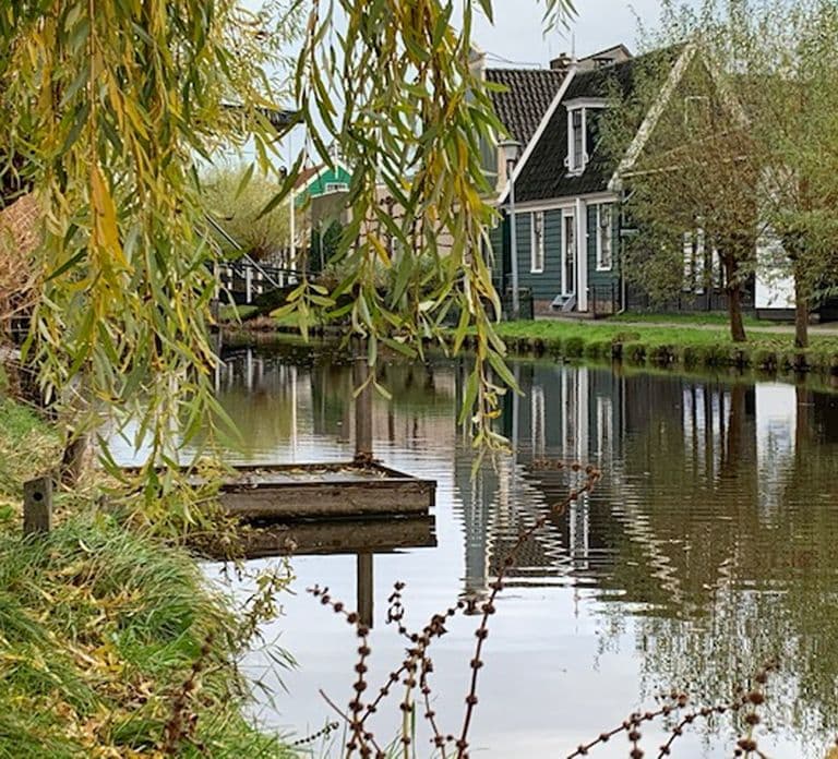 Amsterdam: Tour in bicicletta nella campagna e mulini a vento di Zaanse Schans