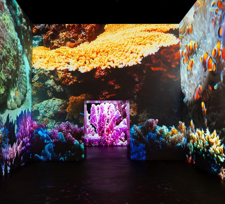 Amsterdam: Fabrique des Lumières The Sea 입장권