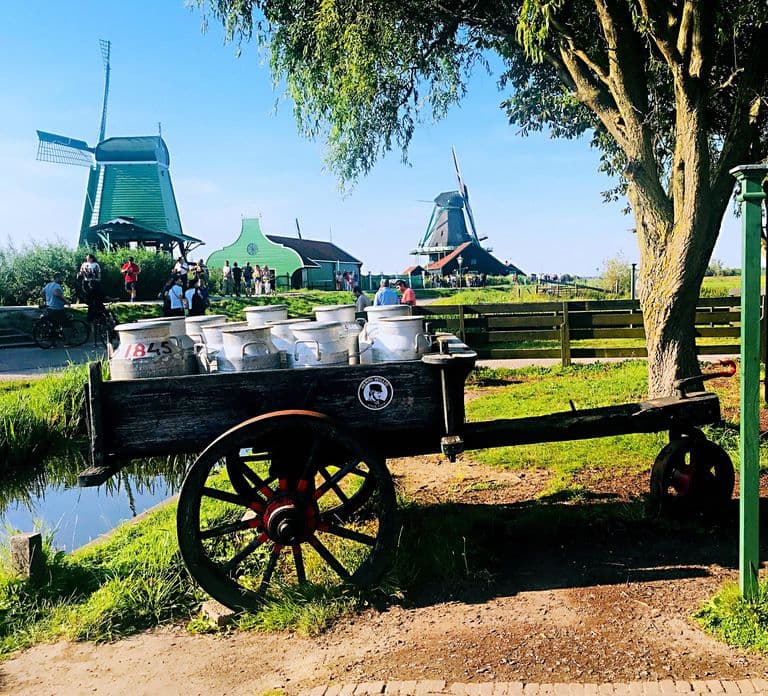 Amsterdam: gita di un giorno a Giethoorn, Afsluitdijk e Zaanse Schans