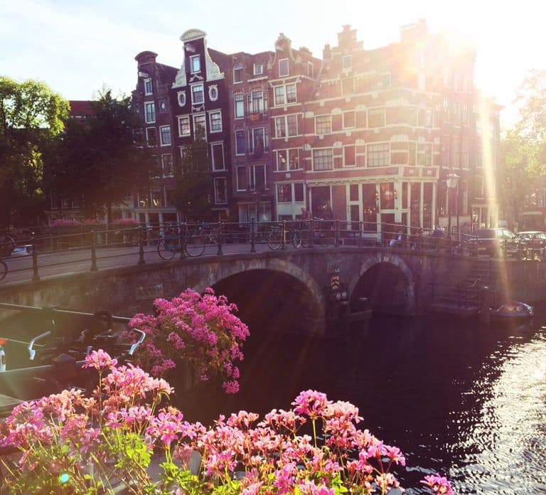 Amsterdam: Guided Cultural Food Tour in DE/EN