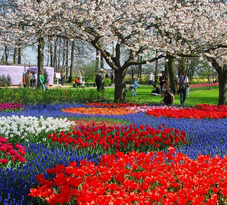 Amsterdam: Keukenhof-Ticket mit Shuttlebus + Grachtenrundfahrt
