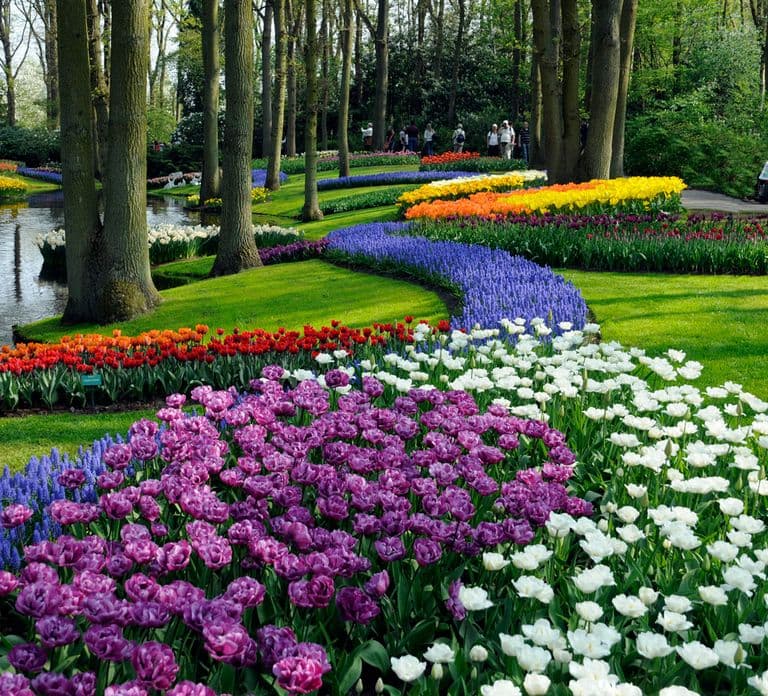 Amsterdam: Keukenhof Ticket with Shuttle Bus + Canal Cruise