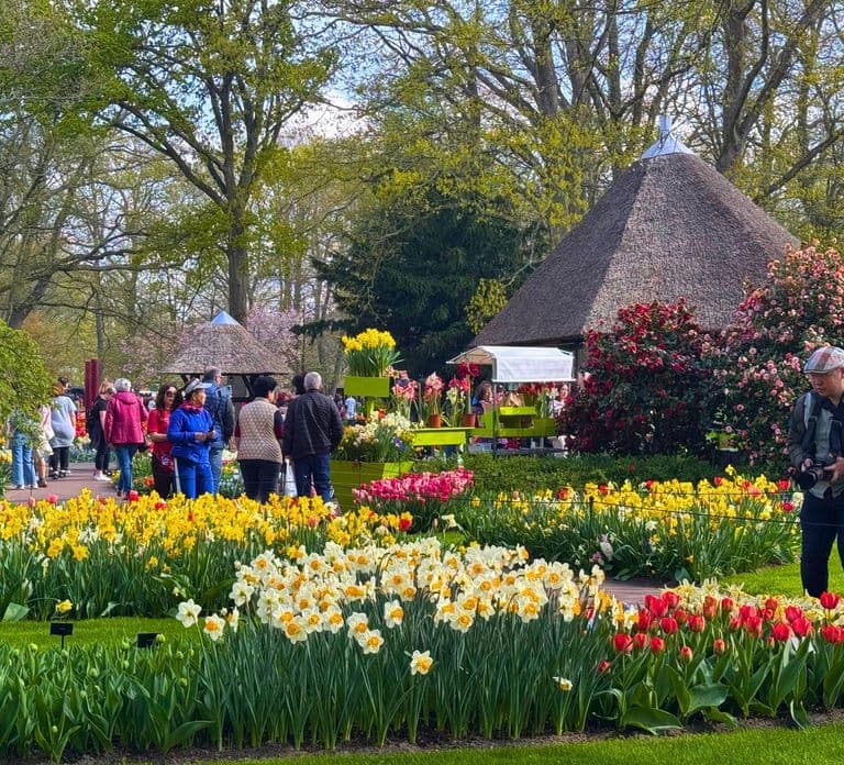 Amsterdam: Keukenhof Tulip Garden and Giethoorn Experience