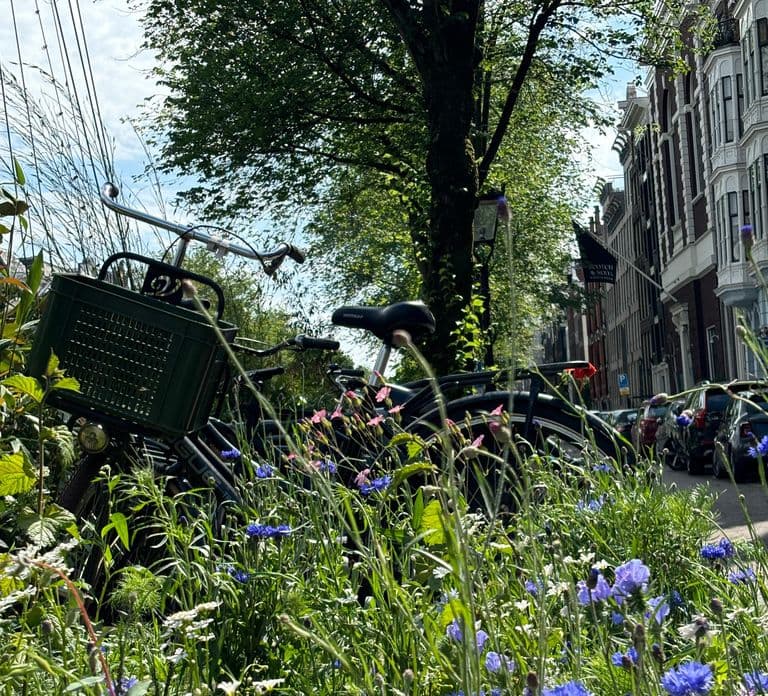 Amsterdam: KULTOUR mit Biss. Tour gastronômica pela cidade