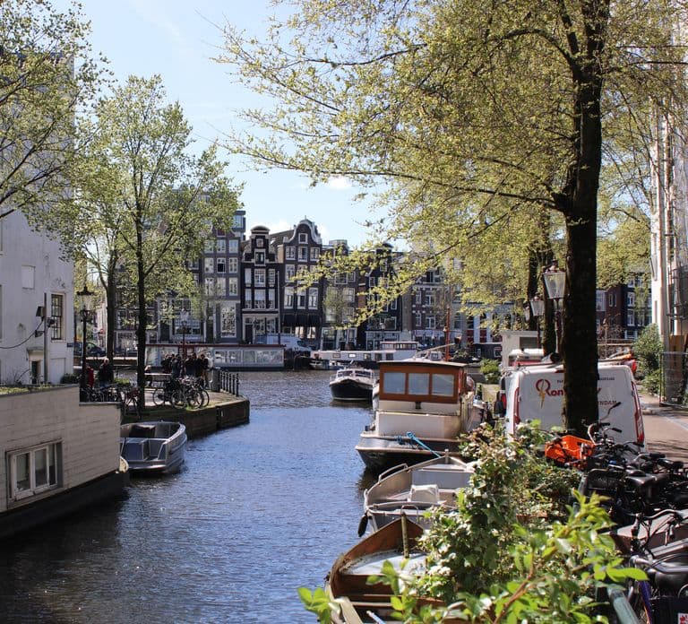 Ámsterdam: Visita guiada privada durante escala (3h, 4h o 5h)