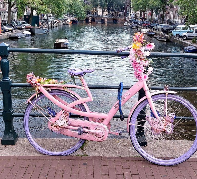 Amsterdam: Small-group Guided Walking Tour (French/English)
