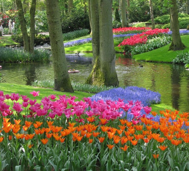Amsterdam : excursion aux jardins de Keukenhof avec croisière en moulin à vent
