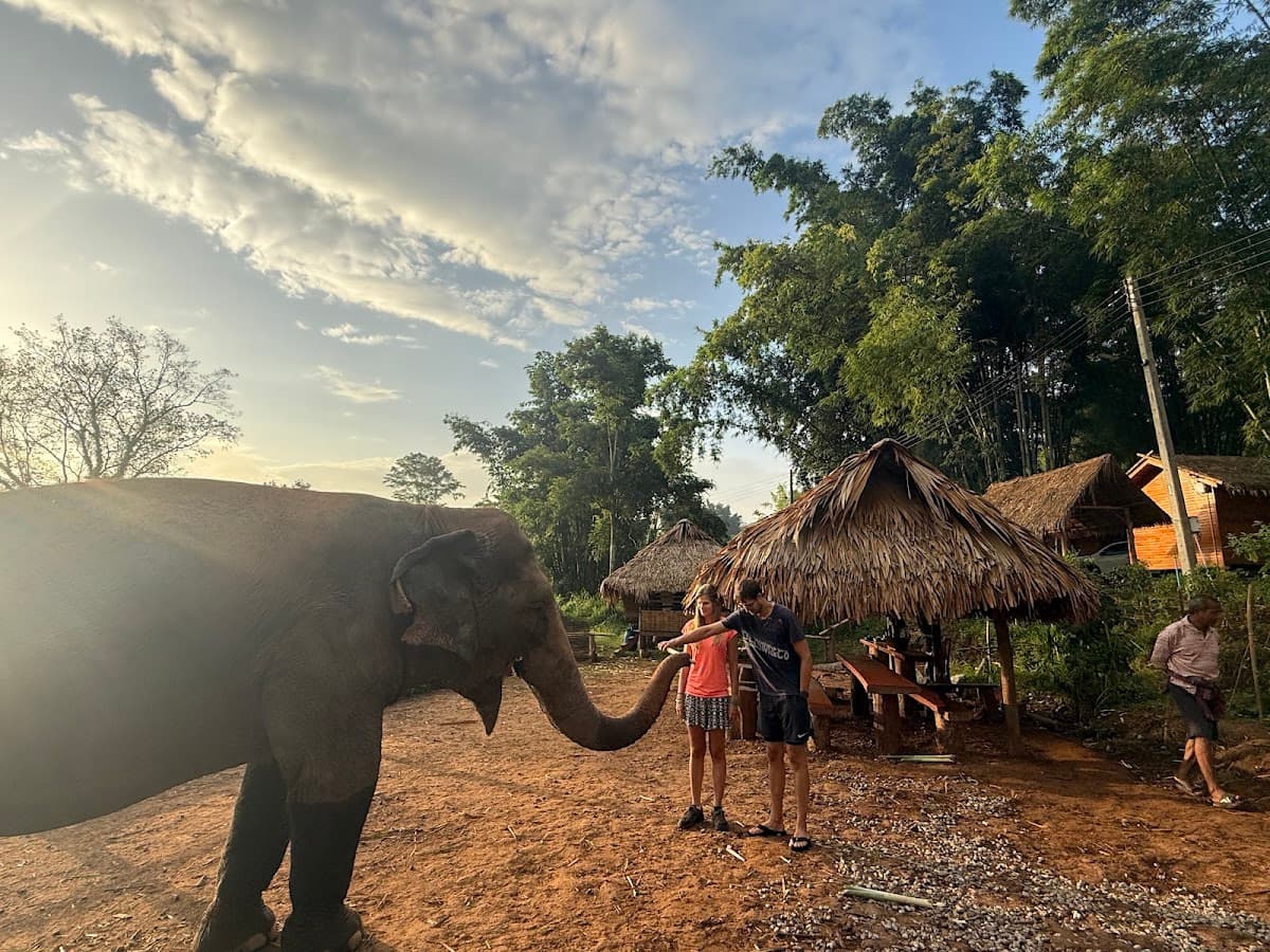 Pon Elephant Thailand