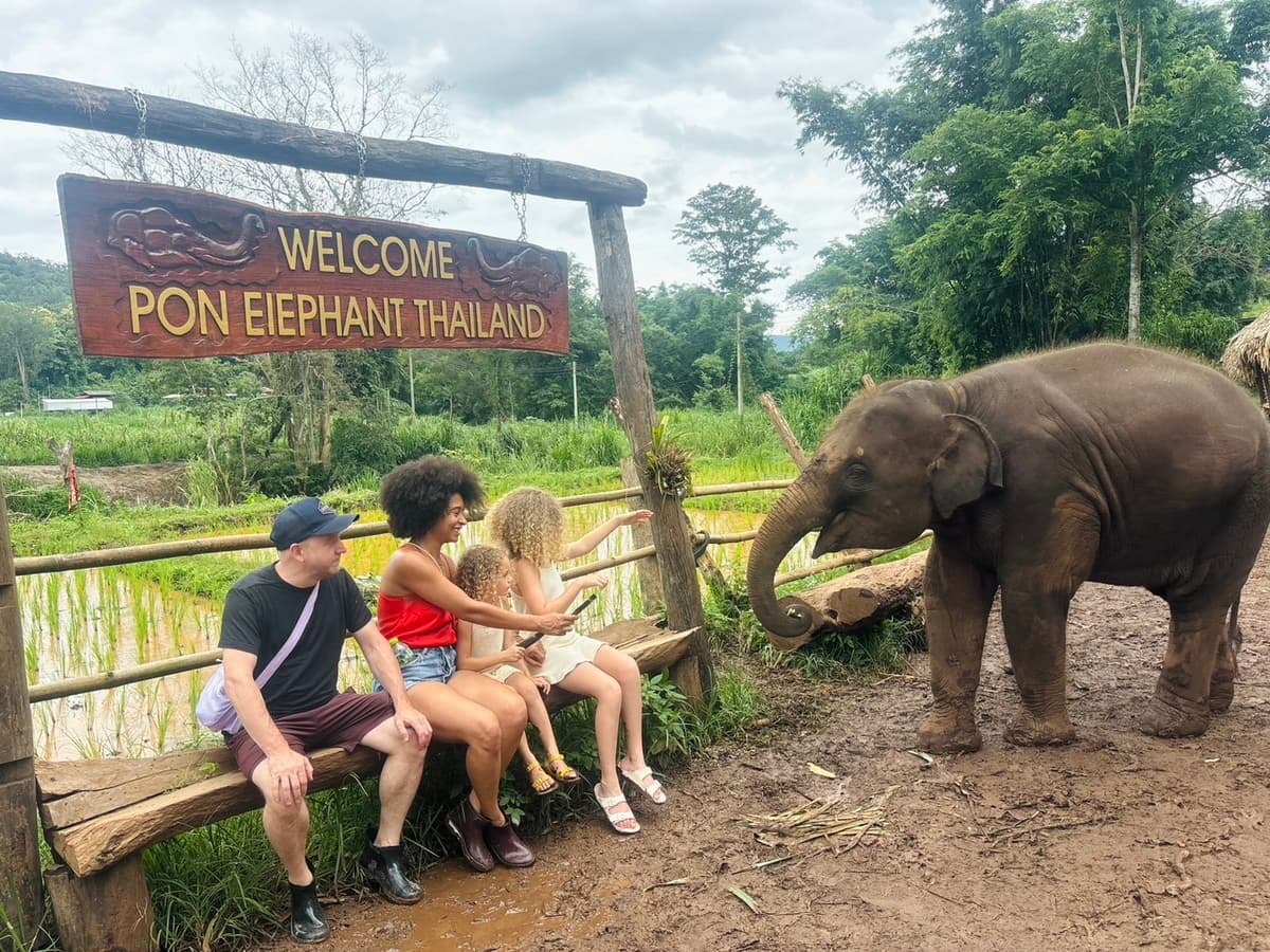 Pon Elephant Thailand