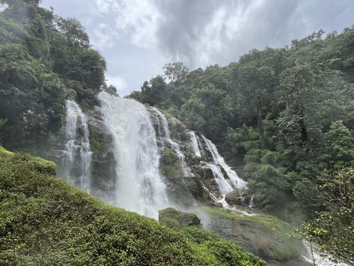 Pon Elephant Thailand