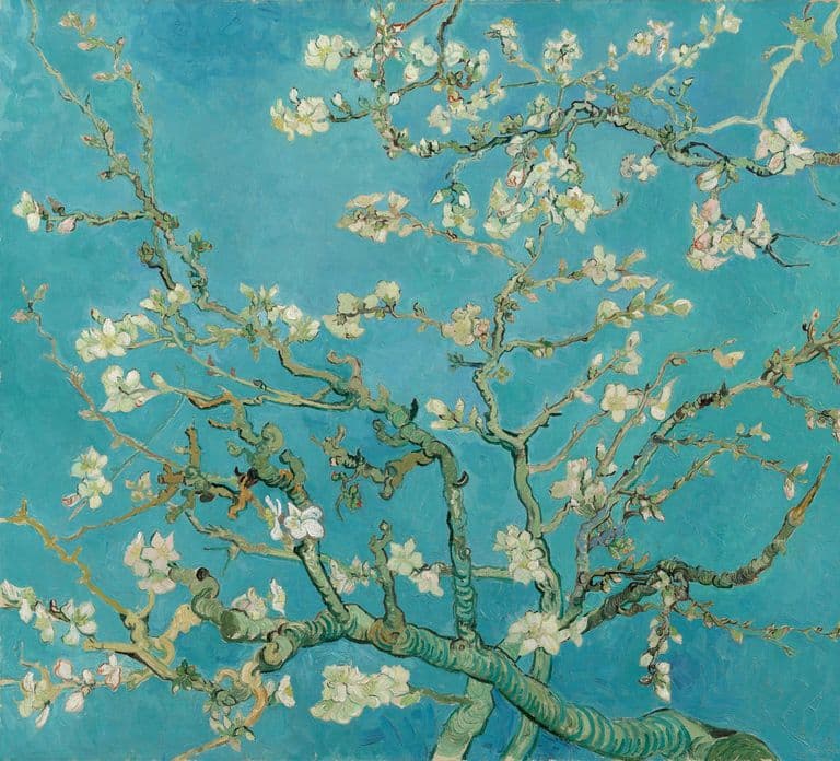 Amsterdam: Van Gogh Museum rondleiding met toegang