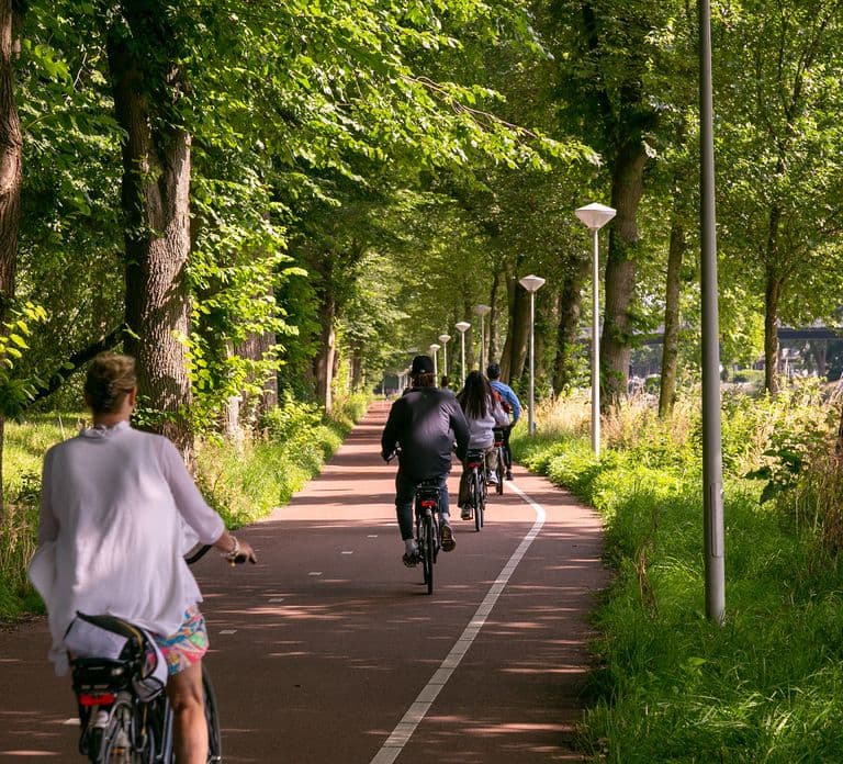 Amsterdam: Windmill, Cheese, and Countryside E-Bike Tour