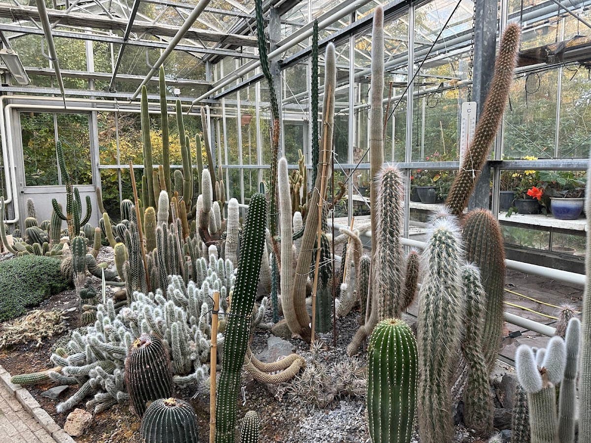 Arboretum Trompenburg