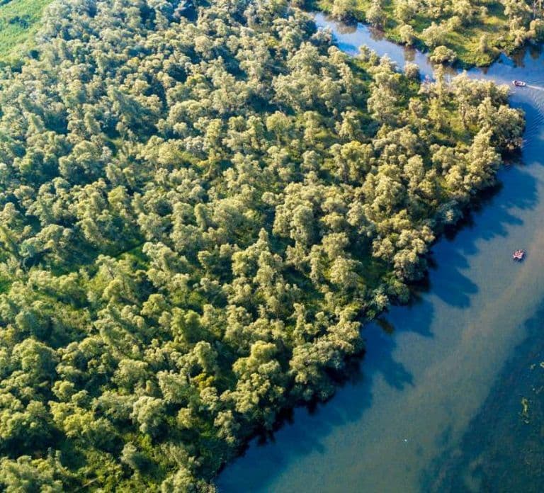 Biesbosch: Boottocht door het Nationaal Park