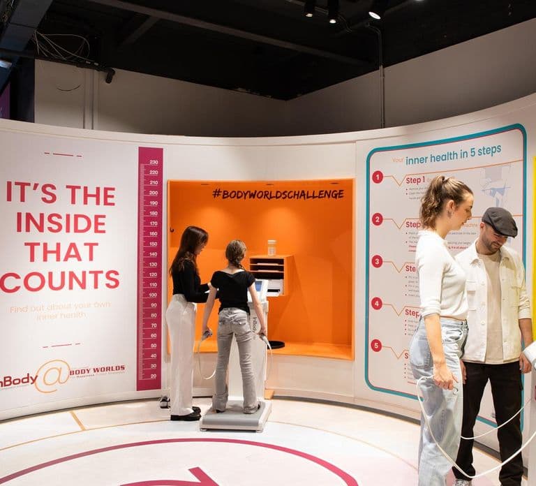 Bilet do Body Worlds Amsterdam: The Happiness Project