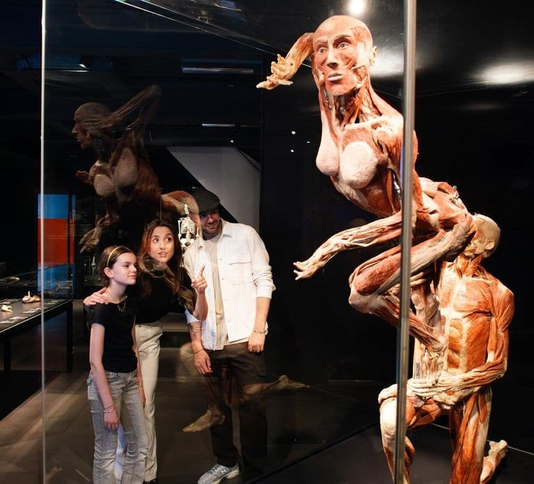 Bilet do Body Worlds Amsterdam: The Happiness Project