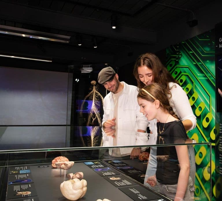 Bilet do Body Worlds Amsterdam: The Happiness Project