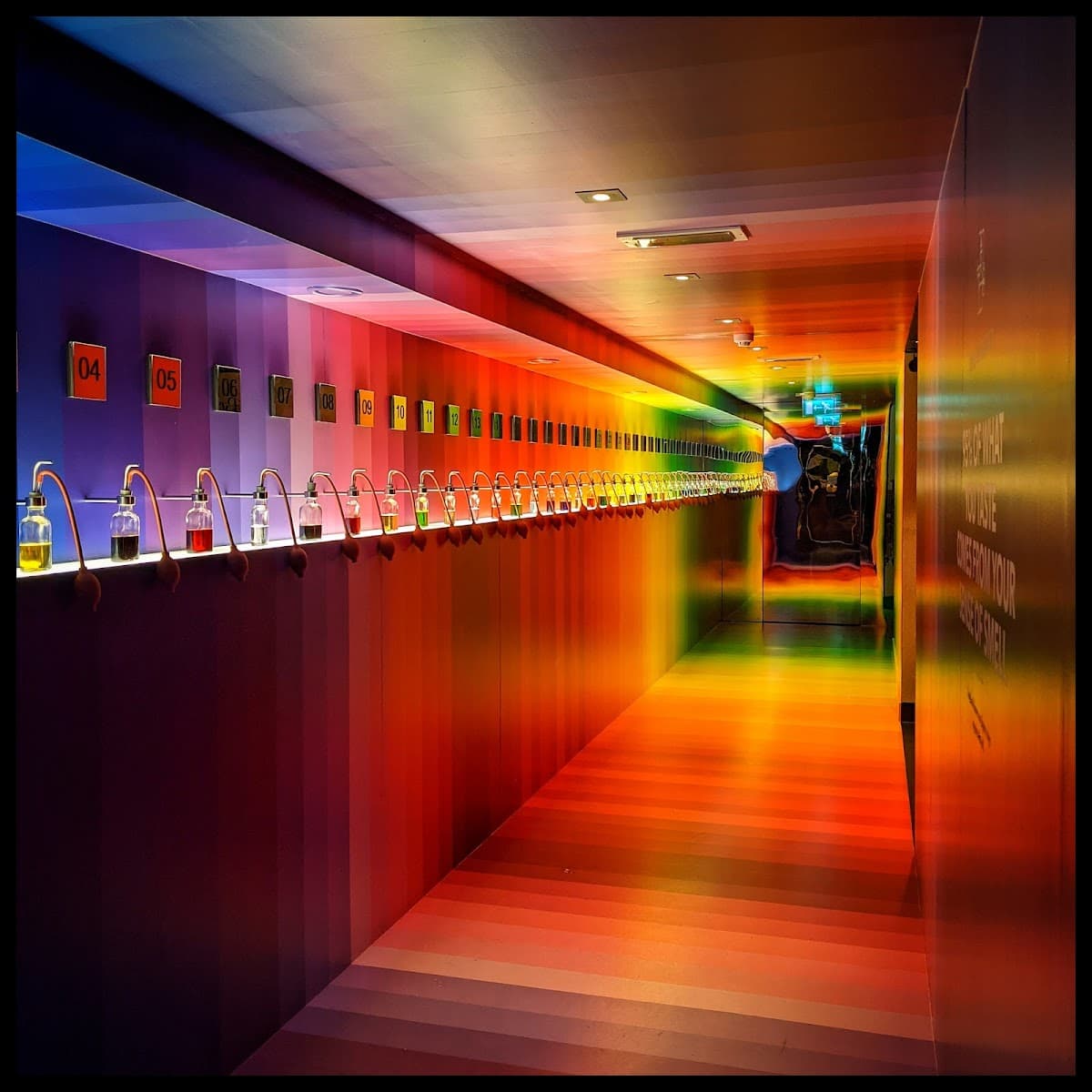 Bols Cocktail Experience