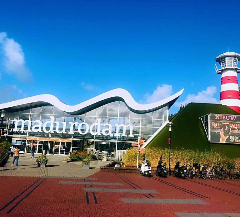 Da Amsterdam: tour giornaliero a Rotterdam, Delft e L'Aia