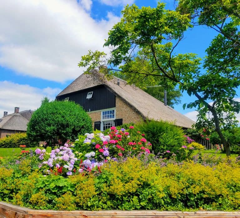 From Amsterdam: Giethoorn Day Trip with Small Electric Boat
