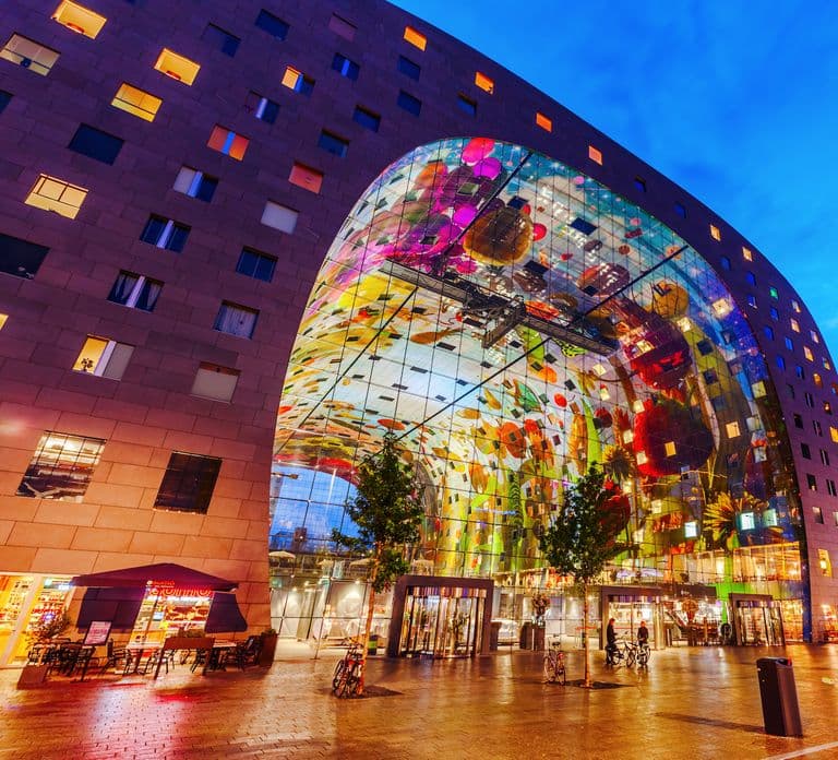 From Amsterdam: Rotterdam and The Hague Tour in Spanish