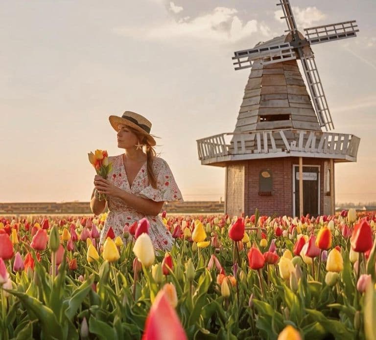 From Amsterdam: Tulip Field Experience – The Tulip Barn