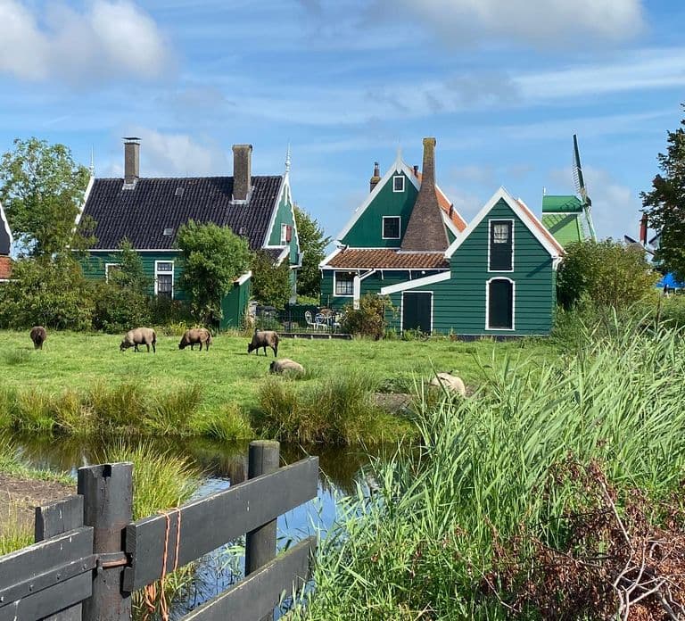 Ab Amsterdam: Besuchen Sie Zaanse Schans, Muiderslot und mehr!